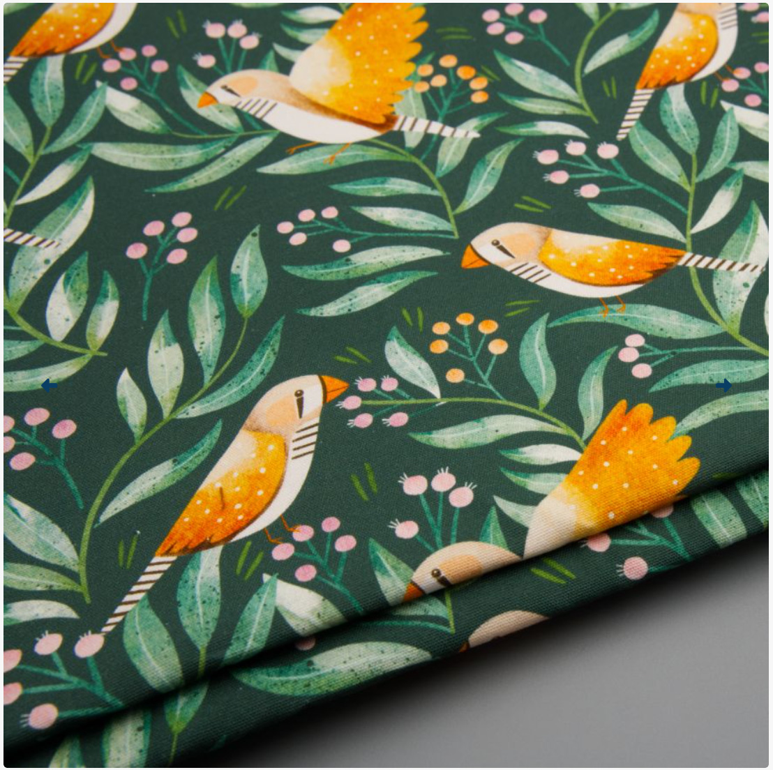 (image for) Water resistant cotton canvas - zebra finches